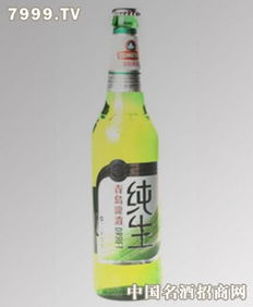 安東啤酒 品質與創新的完美融合